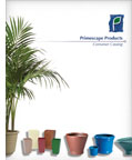 container catalog image